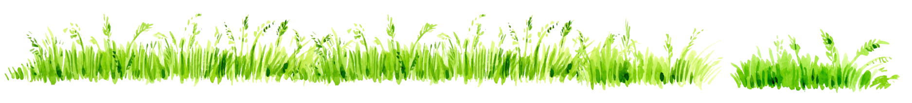 The Adventures of BARNABAS by Jerome D Knochelmann Author